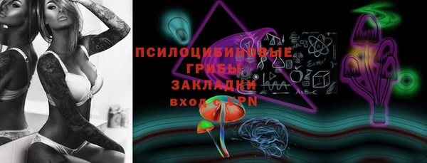 ГАЛЛЮЦИНОГЕННЫЕ ГРИБЫ Алзамай