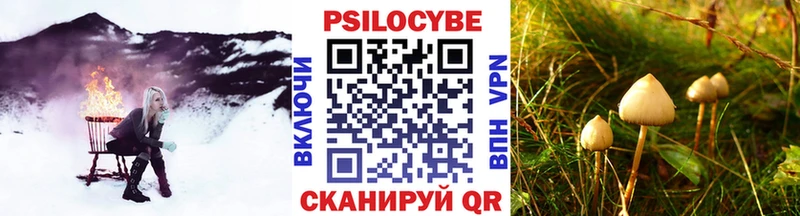 Галлюциногенные грибы мицелий  Хвалынск 